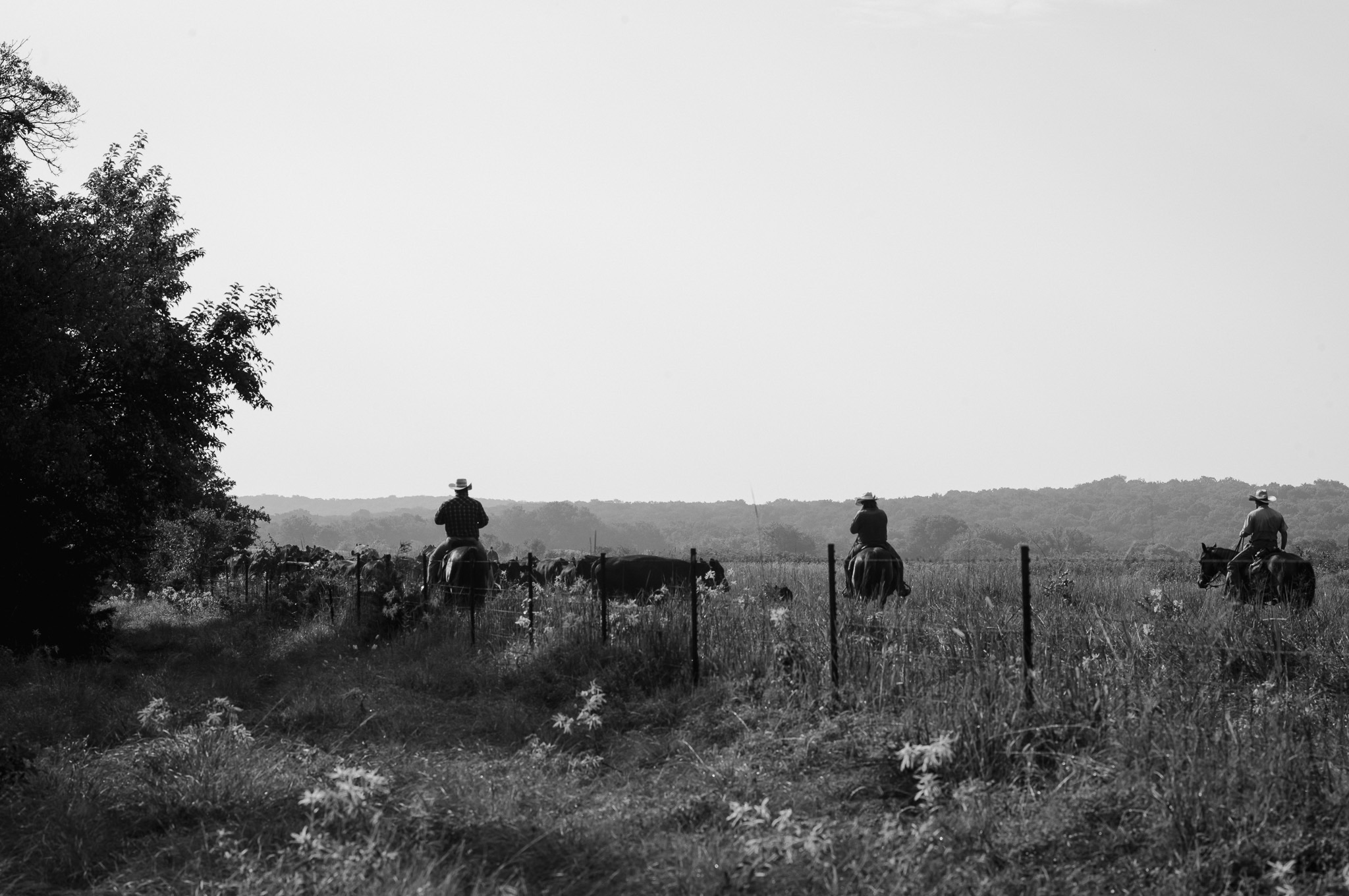 Red River Ranches cowboys